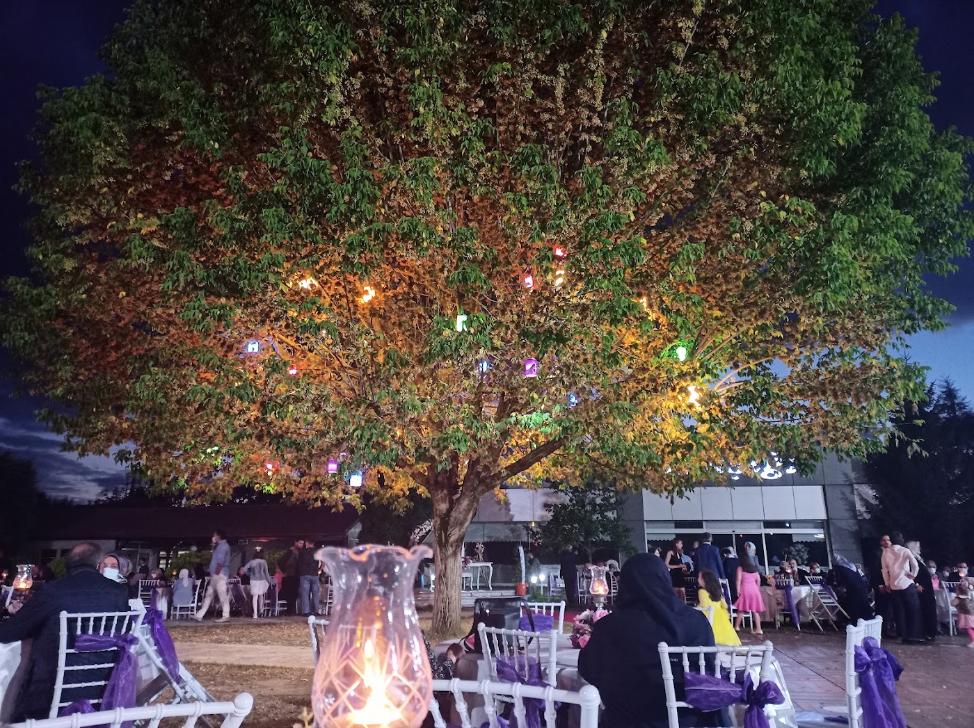 Ayışığı Kır Düğünü ve cafe — fotoğraf 1
